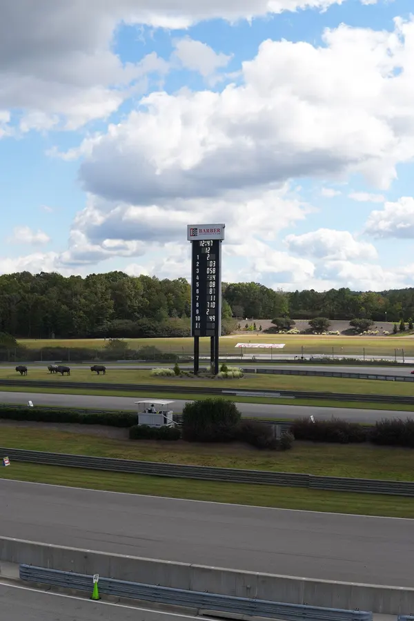 Gotham Motorsports Ferrari racing on track