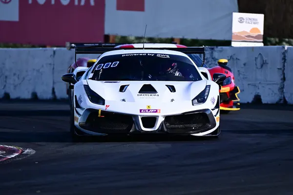 Gotham Motorsports Ferrari racing on track