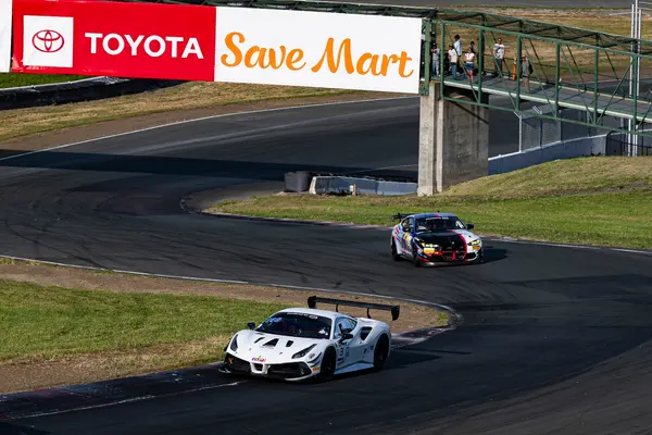 Gotham Motorsports Ferrari racing on track