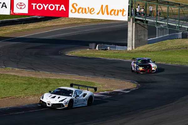 Gotham Motorsports Ferrari racing on track
